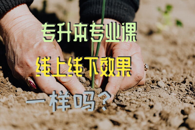 专升本专业课线上线下效果一样吗？