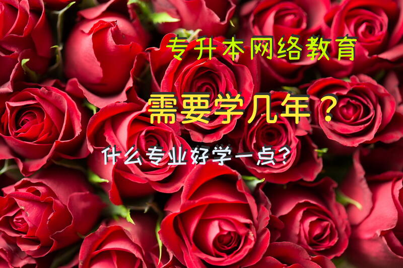 专升本网络教育需要学几年？什么专业好学一点？