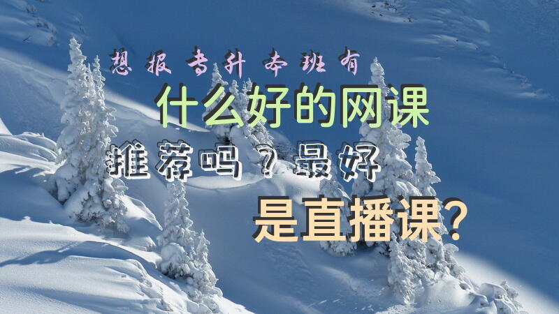 想报专升本班，有什么好的网课推荐吗？最好是直播课？