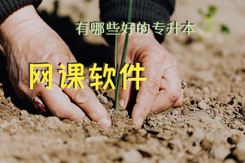 有哪些好的专升本网课软件