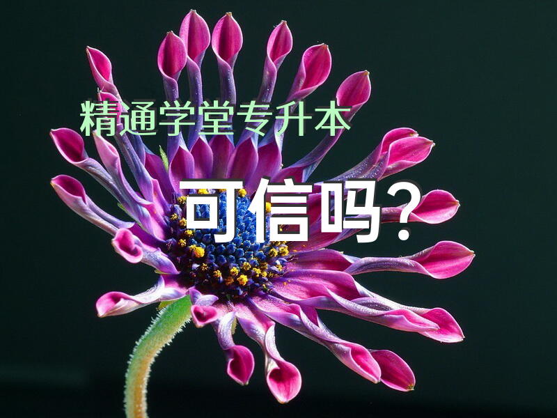 精通学堂专升本可信吗？