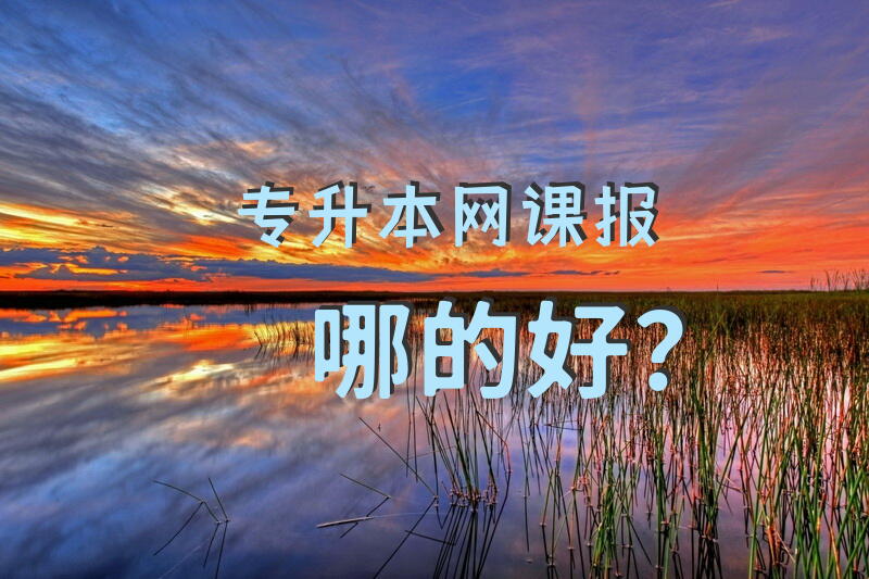 专升本网课报哪的好？