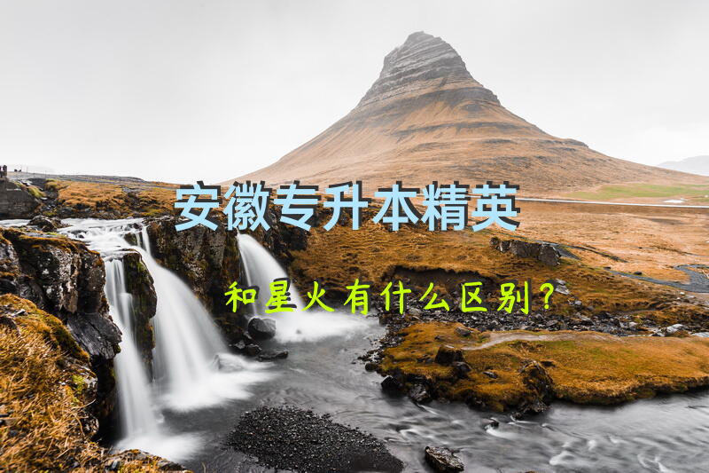 安徽专升本，精英和星火有什么区别？