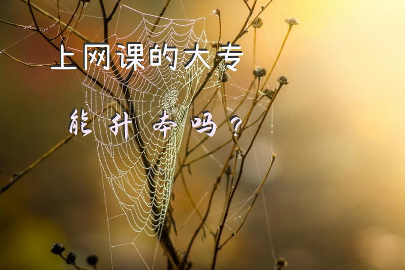 上网课的大专能升本吗？