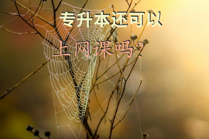 专升本还可以上网课吗？
