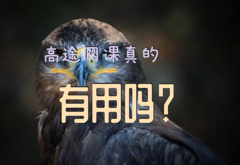 “高途网课真的有用吗？