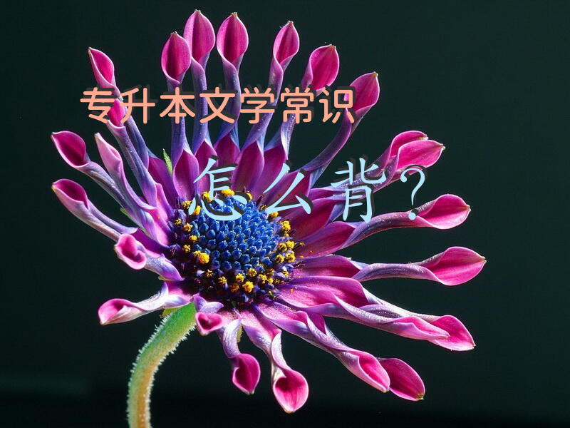 专升本文学常识怎么背？