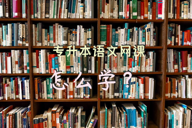 专升本语文网课怎么学？