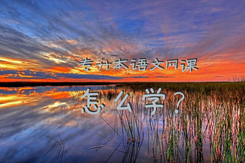 专升本语文网课怎么学？