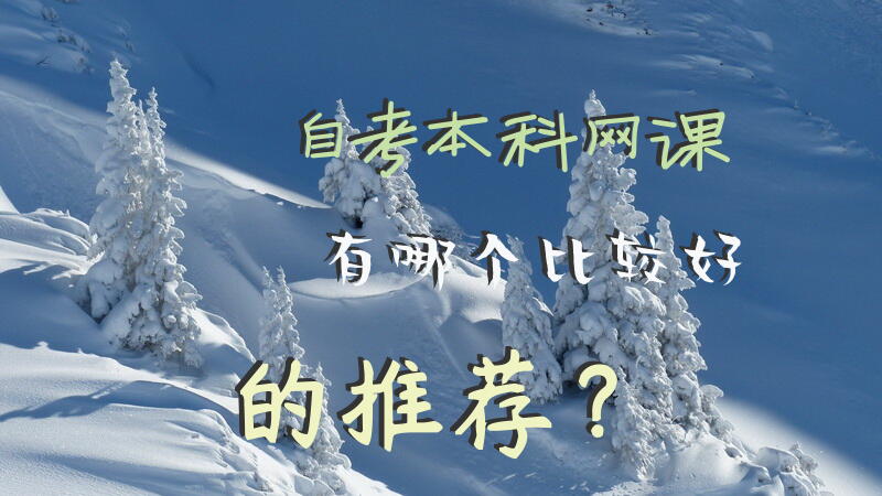 自考本科网课有哪个比较好的推荐？