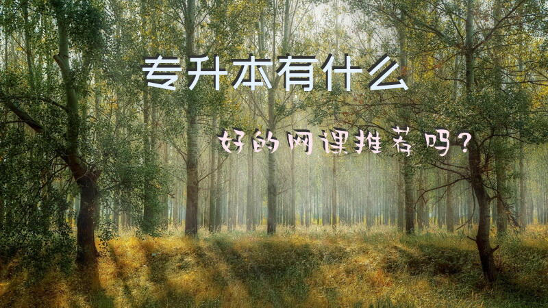 专升本有什么好的网课推荐吗？