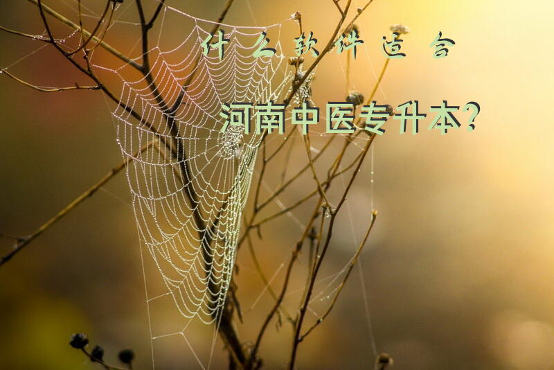 什么软件适合河南中医专升本？