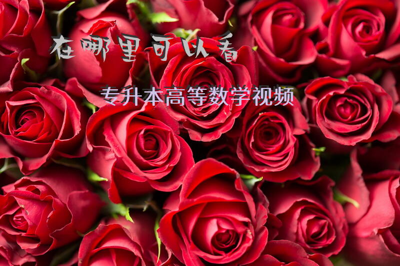 在哪里可以看专升本高等数学视频