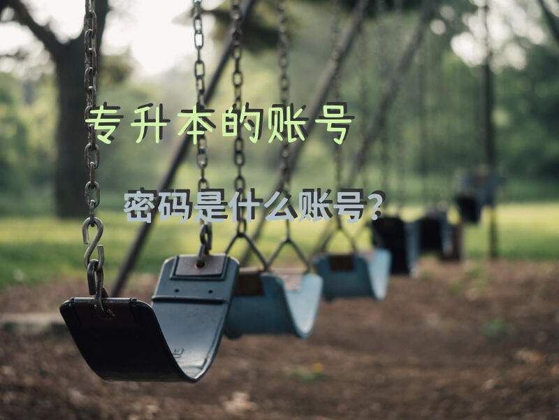 专升本的账号密码是什么账号？