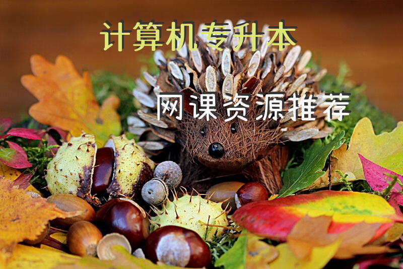 计算机专升本网课资源推荐