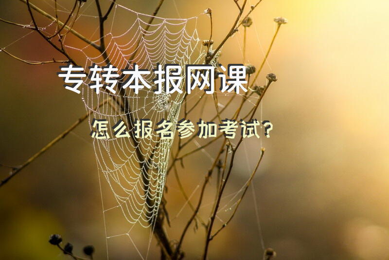 专转本报网课怎么报名参加考试？