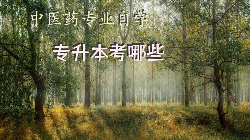 中医药专业自学专升本考哪些？
