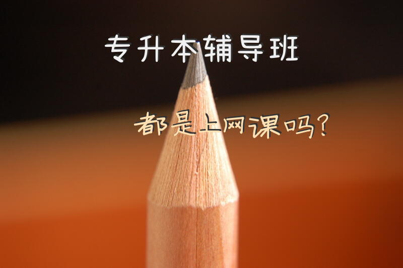 专升本辅导班都是上网课吗？