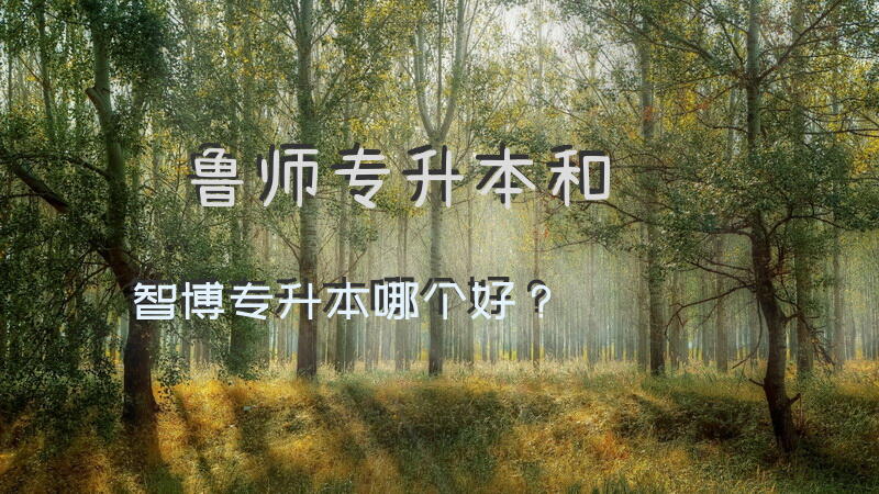 鲁师教育培训机构靠谱吗？