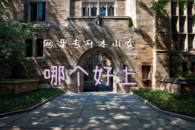 网课专升本山东哪个好上山东专升本网课排行榜？