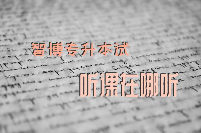 智博专升本试听课在哪听山东专升本智博网校怎么样？