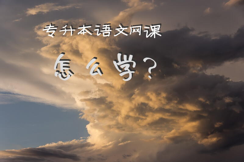 专升本语文网课怎么学？