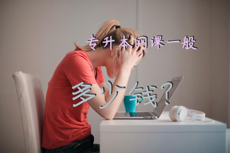 专升本网课一般多少钱？