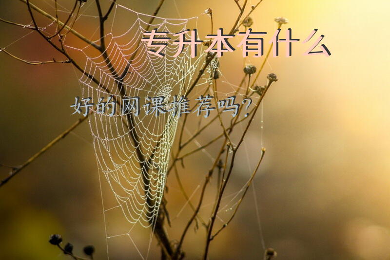 专升本有什么好的网课推荐吗？专升本，报班好一点还是在网上买课呀？