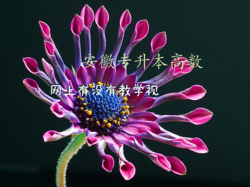 安徽专升本高数网上有没有教学视频在哪里可以看专升本高等数学视频