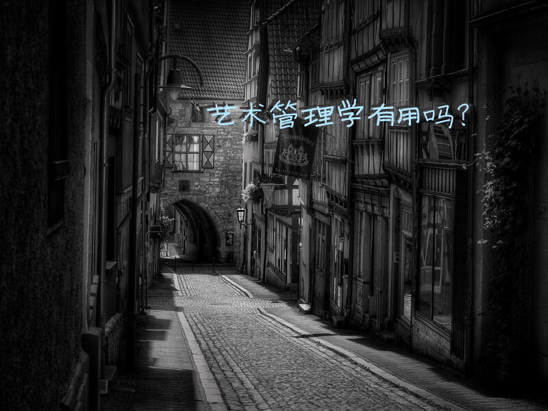 艺术管理学有用吗？
